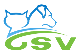 logo CSV