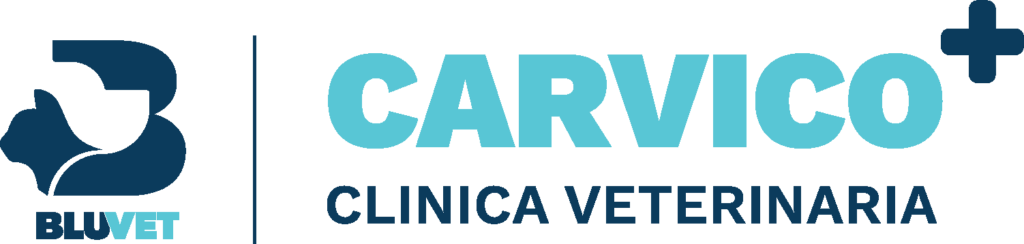 Carvico BV