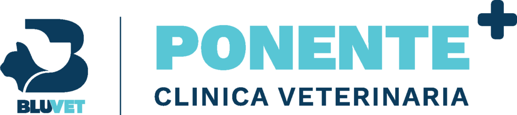 Ponente BV