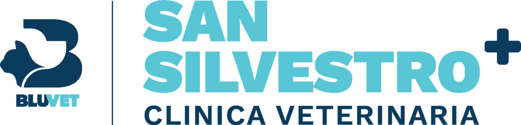 San silvestro bv