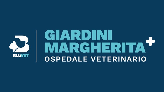 acquisizione GM