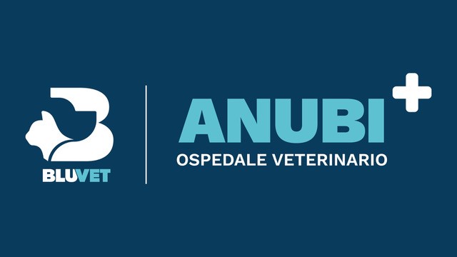 acquisizione anubi