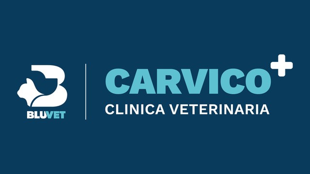 acquisizione carvico