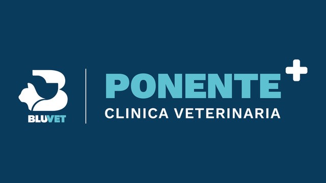 acquisizione ponente