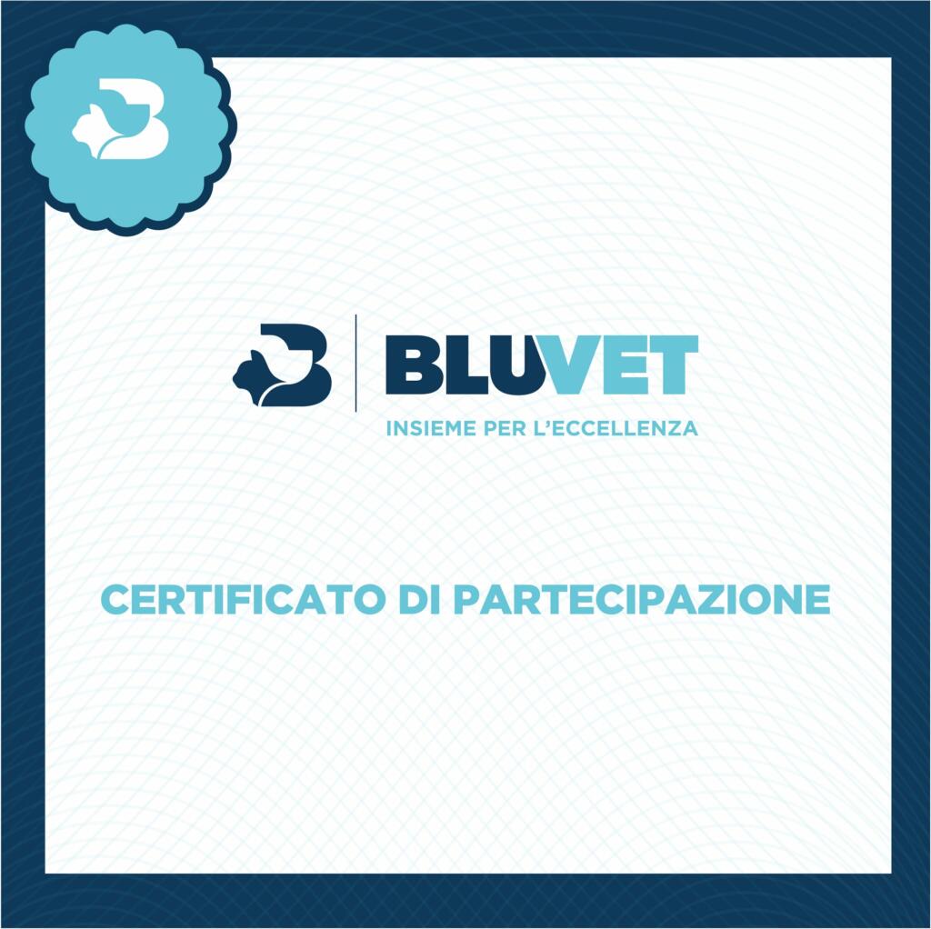 certificato bluvet min