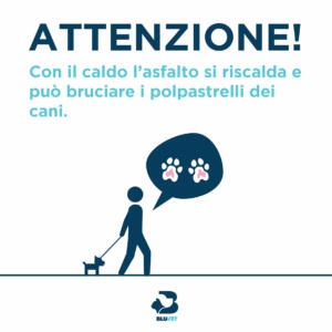 Colpo di calore cane attenzione