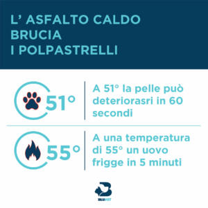 temperatura asfalto e colpo di calore cane