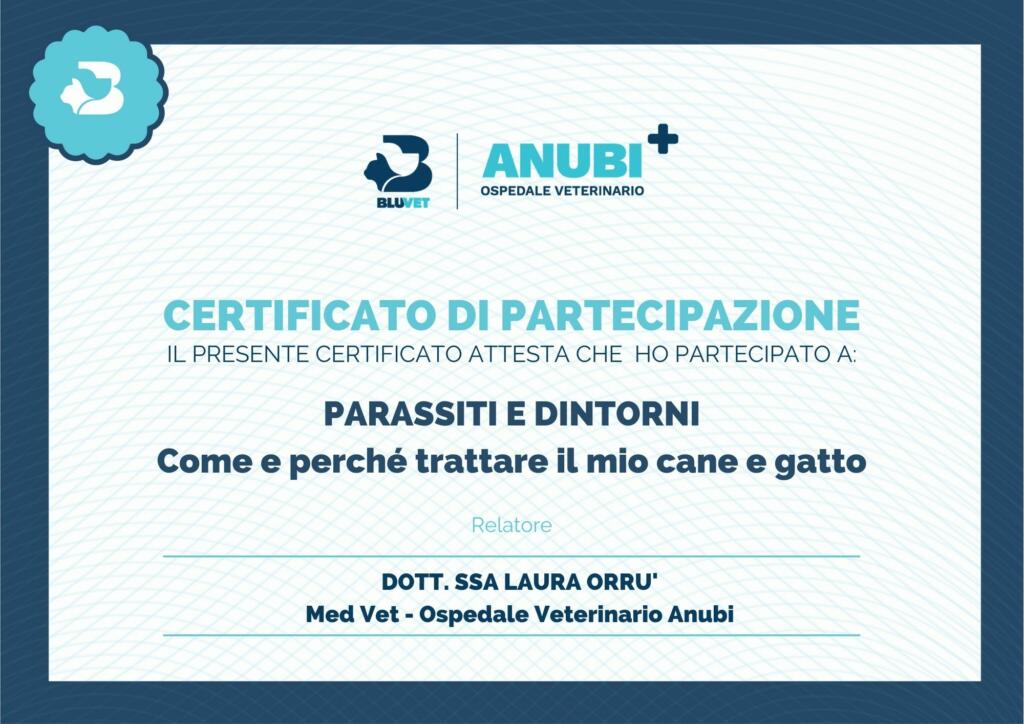 Certificato di partecipazione Parassiti come trattare il mio cane e gatto