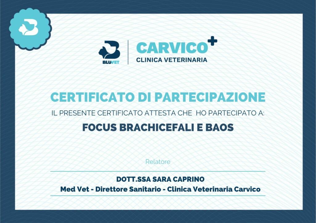 baos certificato di partecipazione