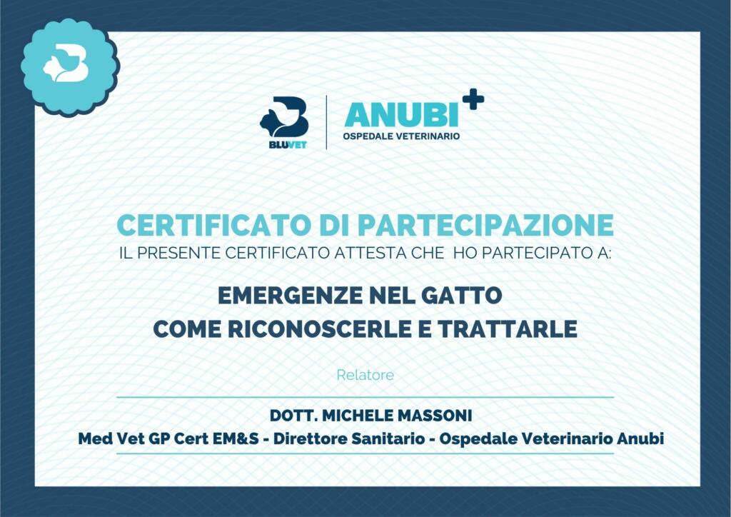 certificato Michele gatto emergenze