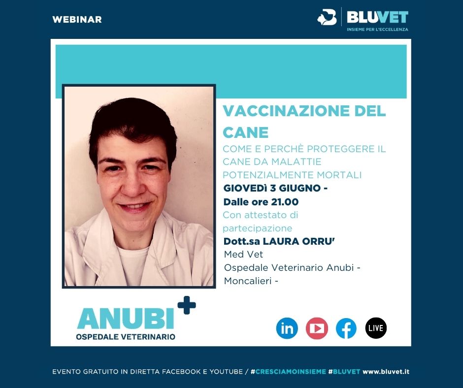 VACCINAZIONE DEL CANE IG