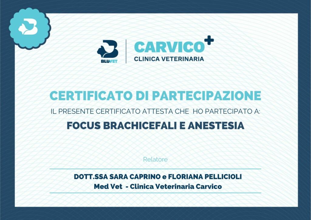 BRACHICEFALI E ANESTESIA