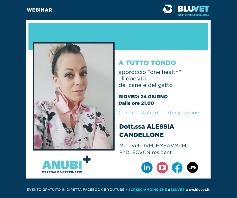 giugno candellone ig