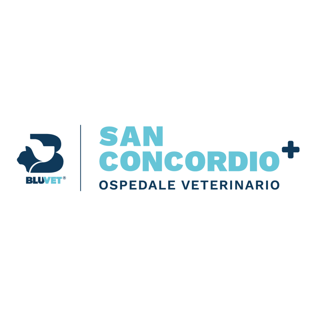 BV sanconcordio