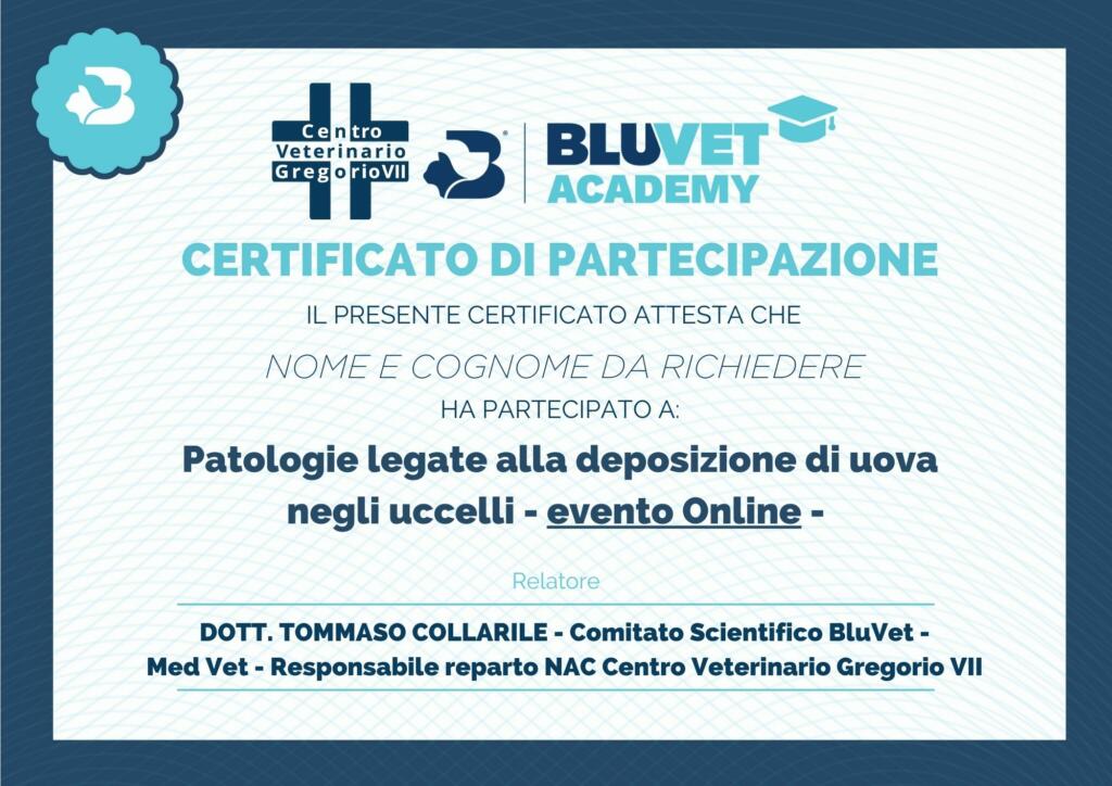 GENERICO COLLARILE