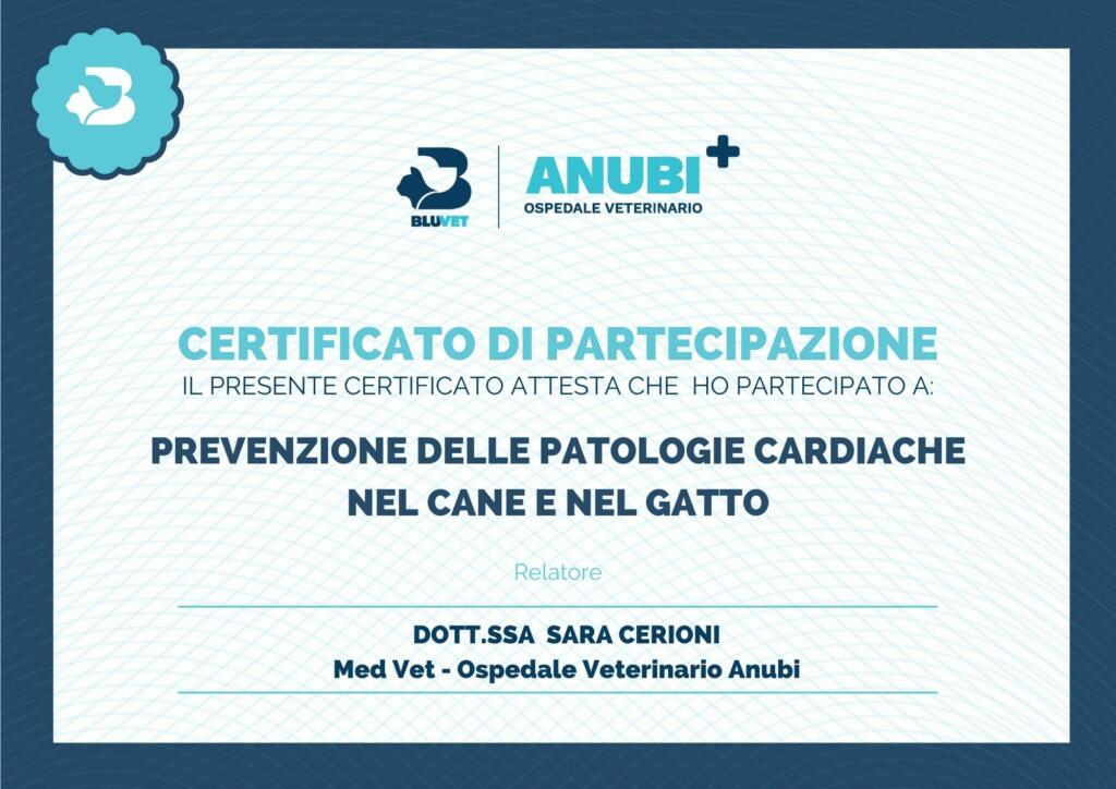 CERTIFICATi di partecipazione SARA CERIONI