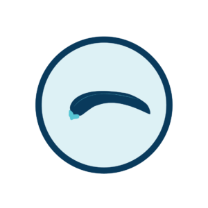anchilostoma