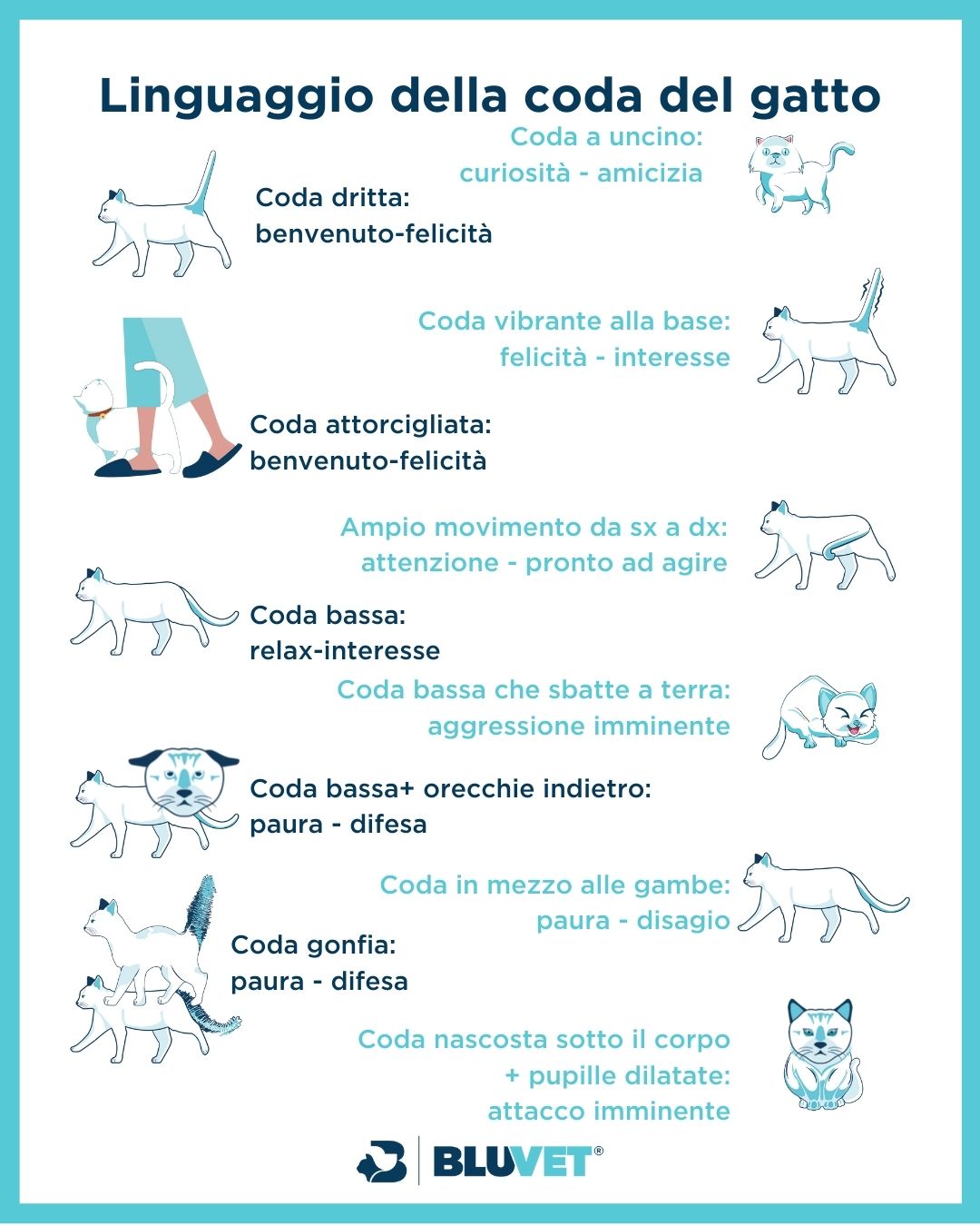 linguaggio della coda del gatto