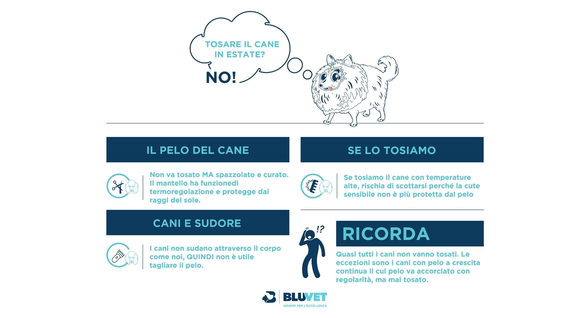 tosare il cane  