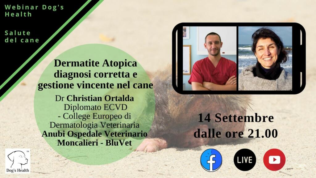 dermatite atopica ortalda