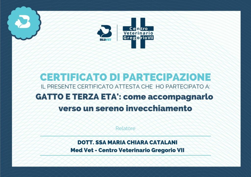 ATTESTATO CATALANI GATTO