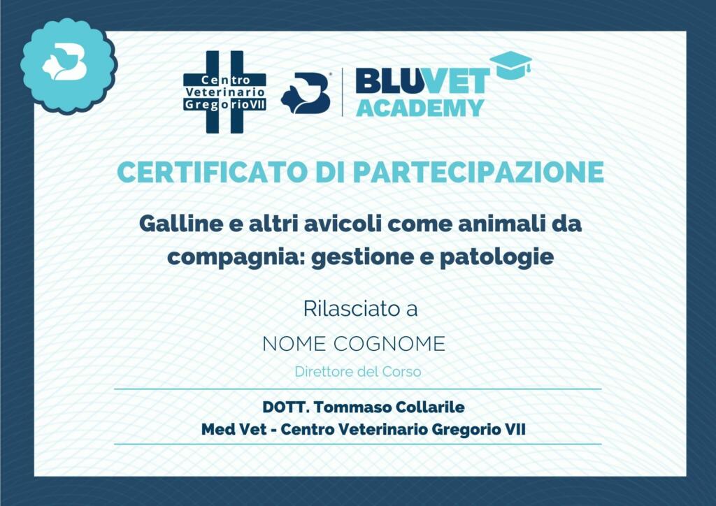 GALLINE E ALTRI AVICOLI MODELLO