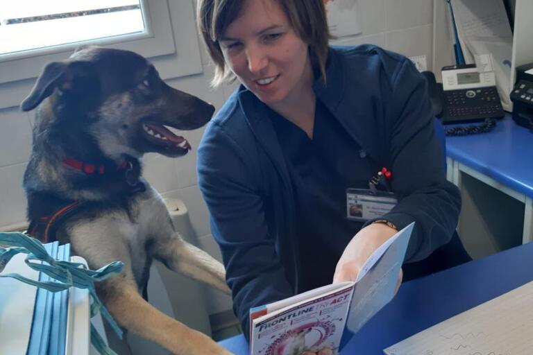 prima visita veterinaria cane