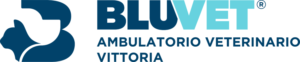 total bluvet vittoria