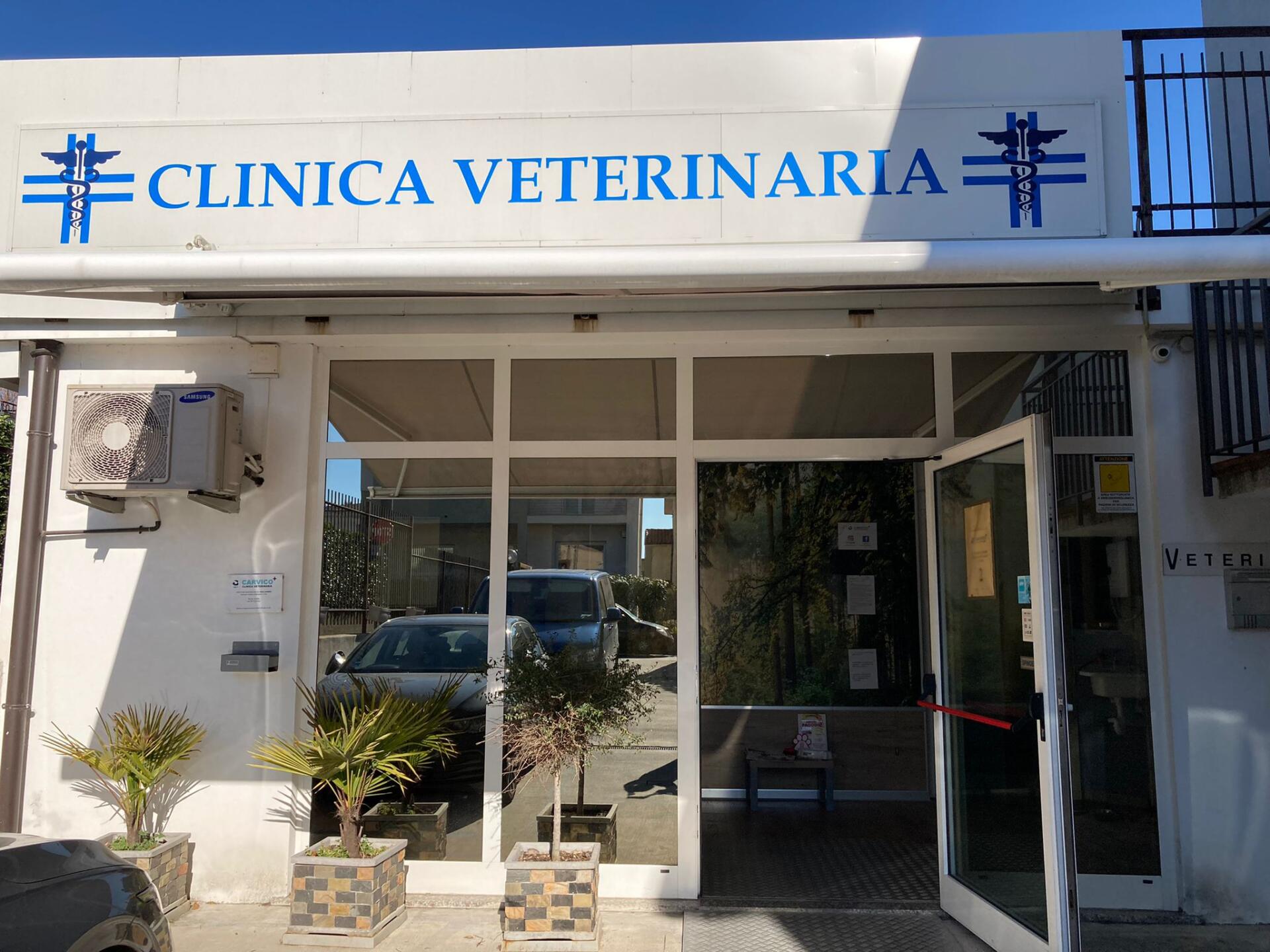 INGRESSO CLINICA CARVICO