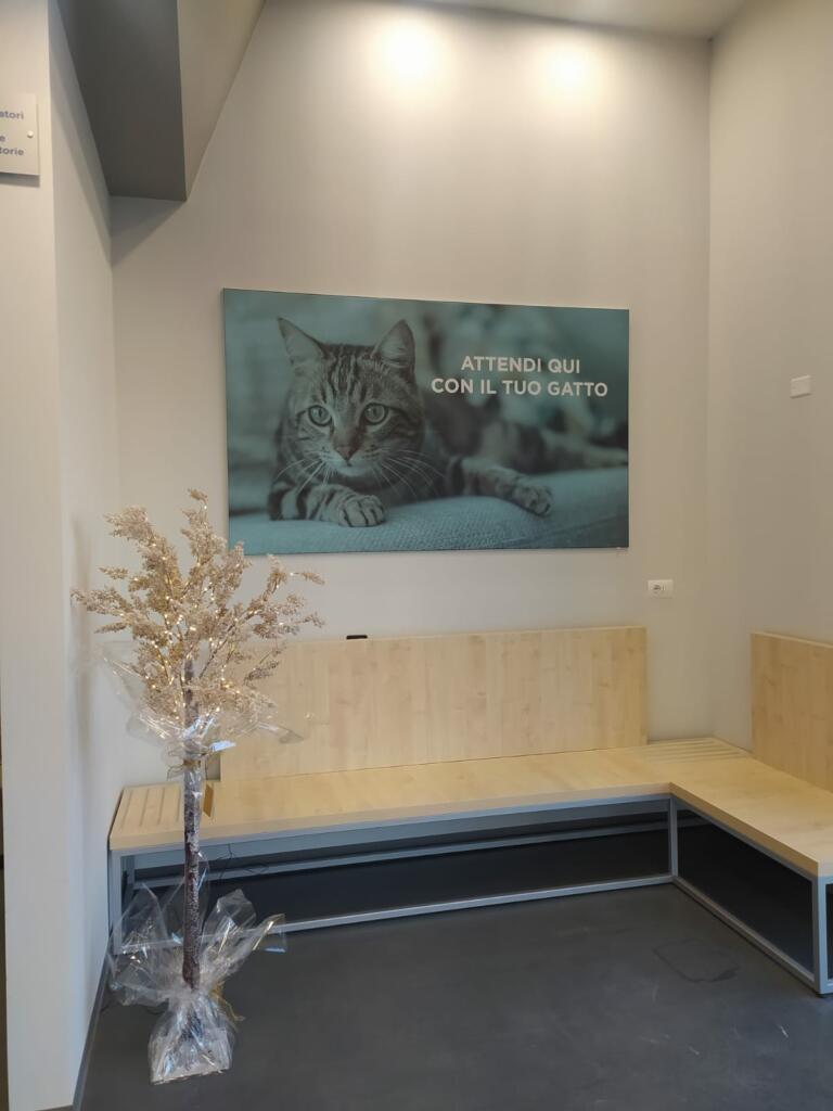 Nuova sede ospedale veterinario san concordio Lucca (3)