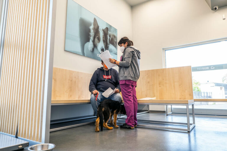 Ospedale Veterinario San Concordio Lucca (8)