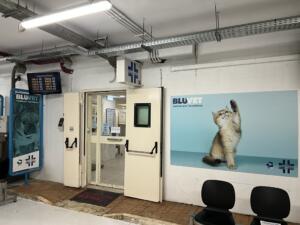 centro veterinario gregorio vii la struttura (6)