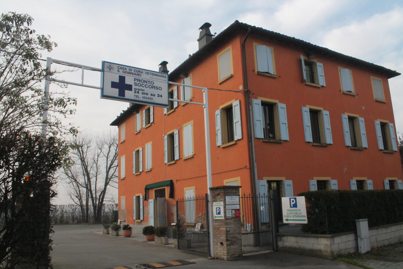 Clinica Veterinaria BluVet San Geminiano 2