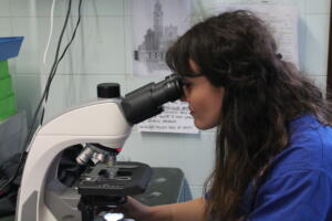 Laboratorio di analisi Clinica Veterinaria BluVet San Geminiano