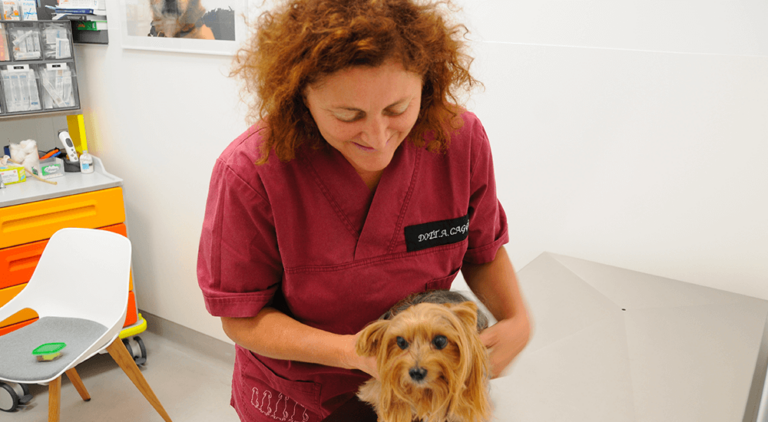 clinica veterinaria centrale milano omotossicologia