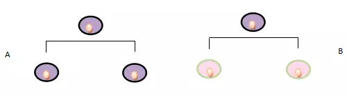divisione simmetrica Figura 2
