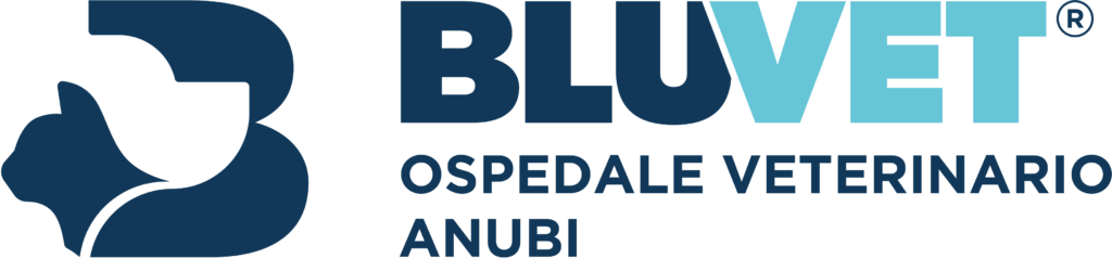 logo anubi