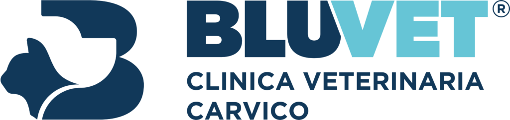 logo carvico