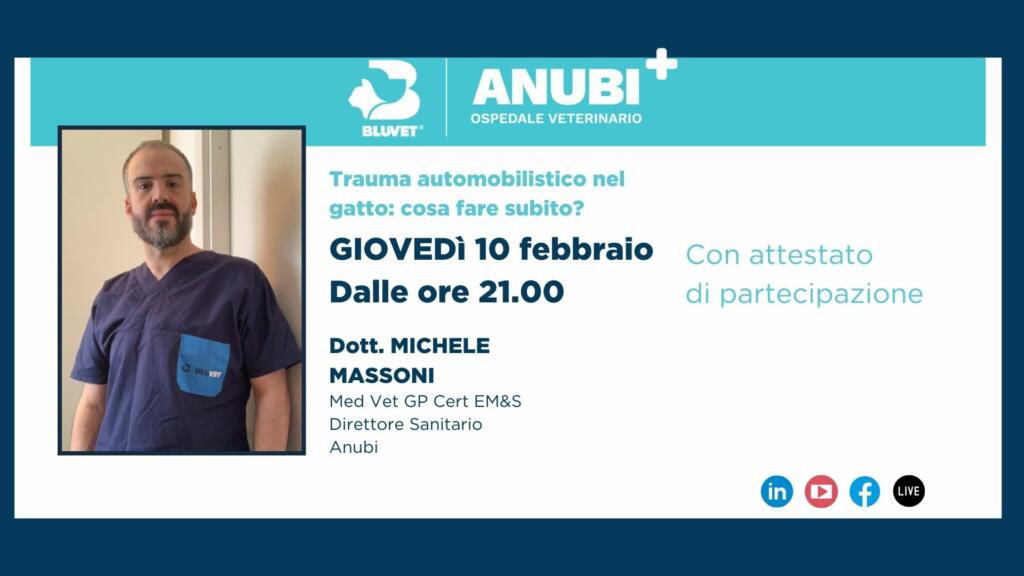 trauma automobilistico michele massoni febb