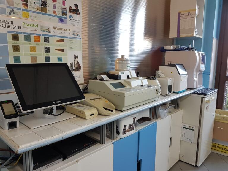 Ambulatorio Veterinario BluVet Venaria Reale Anubi (1)