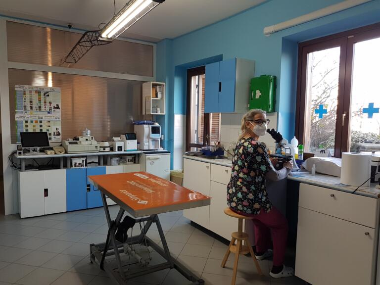 Ambulatorio Veterinario BluVet Venaria Reale Anubi (3)