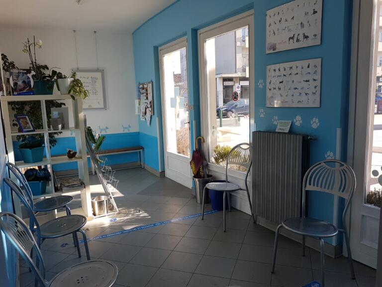 Ambulatorio Veterinario BluVet Venaria Reale Anubi (8)