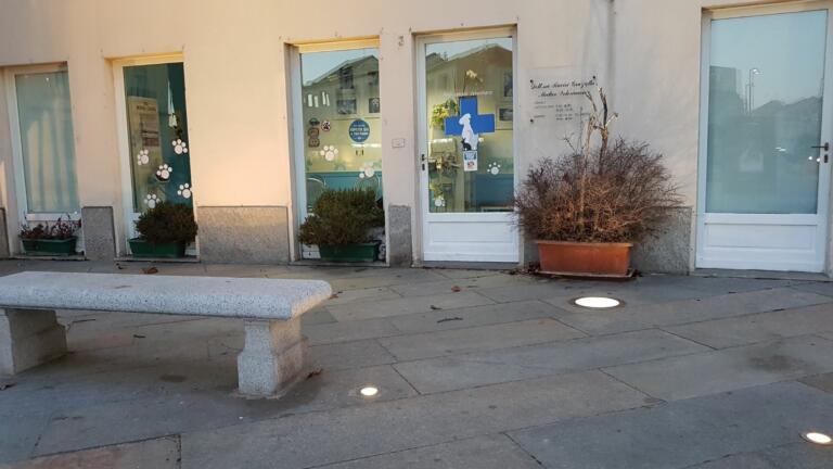 Ambulatorio Veterinario BluVet Venaria Reale ingressoAnubi (9)