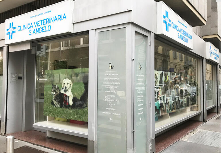 clinica veterinaria santangelo esterno milano