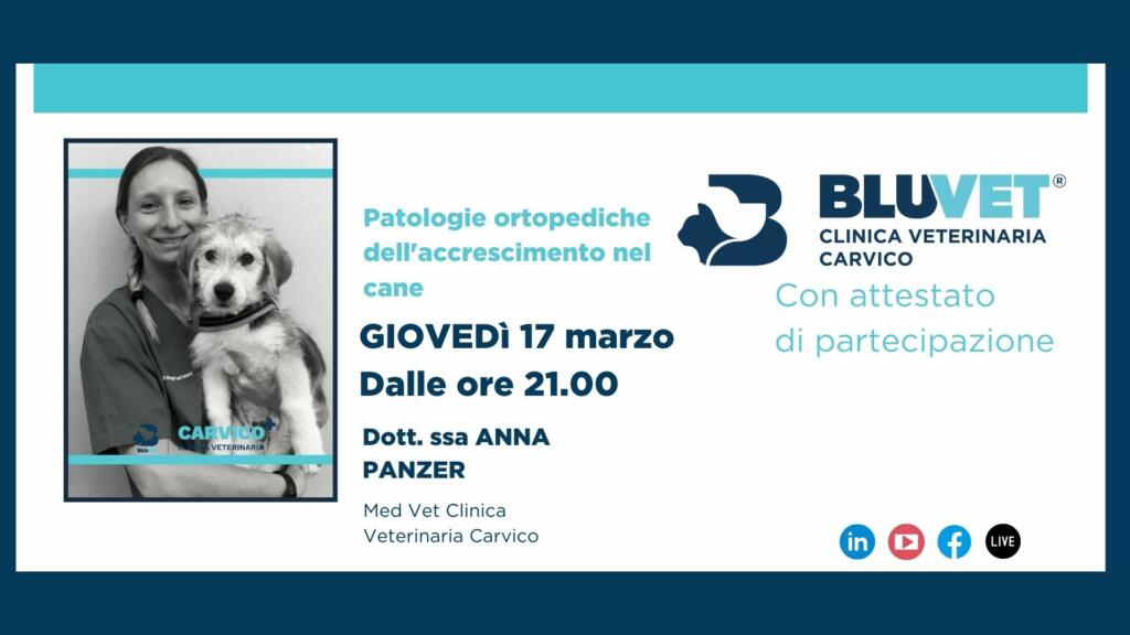 patologie di accrescimento cucciolo anna panzeri 17 marzo