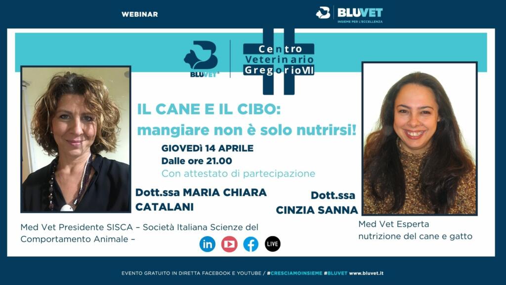 CANE E CIBO CATALANI