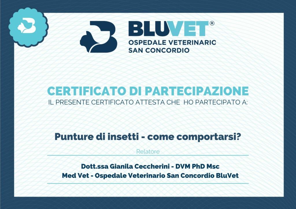 punture di insetti certificato