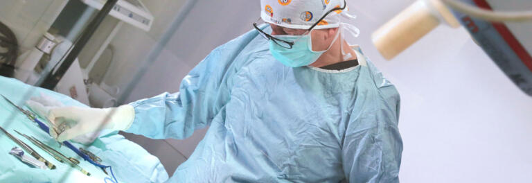 Clinica veterinaria CHIRURGIA PARABIAGO