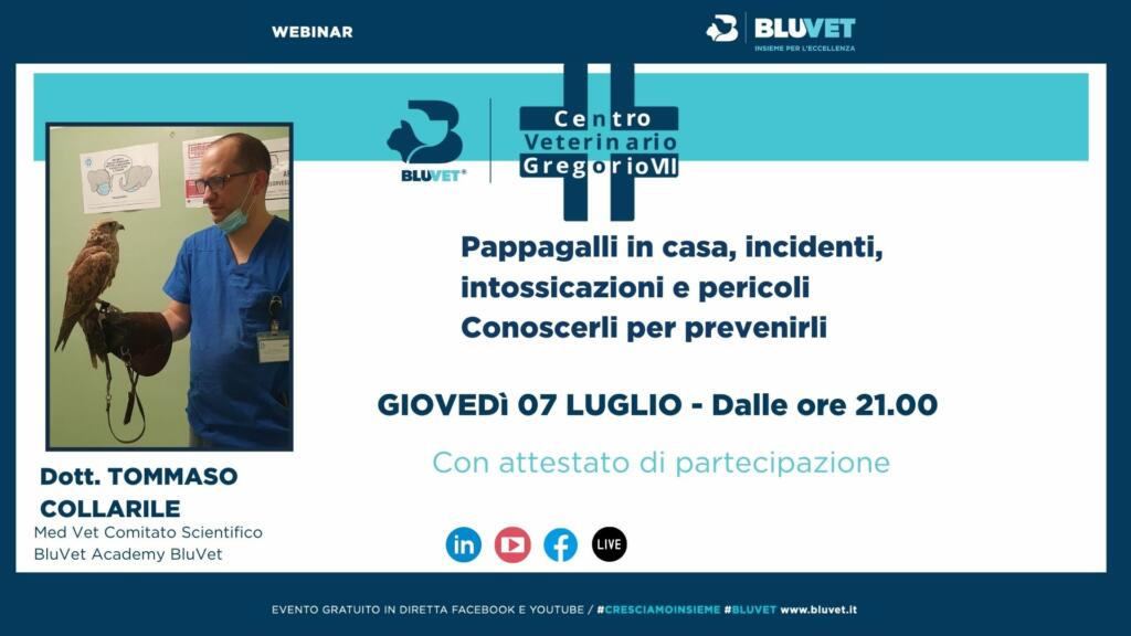 WEBINAR COLLARILE 7 LUGLIO
