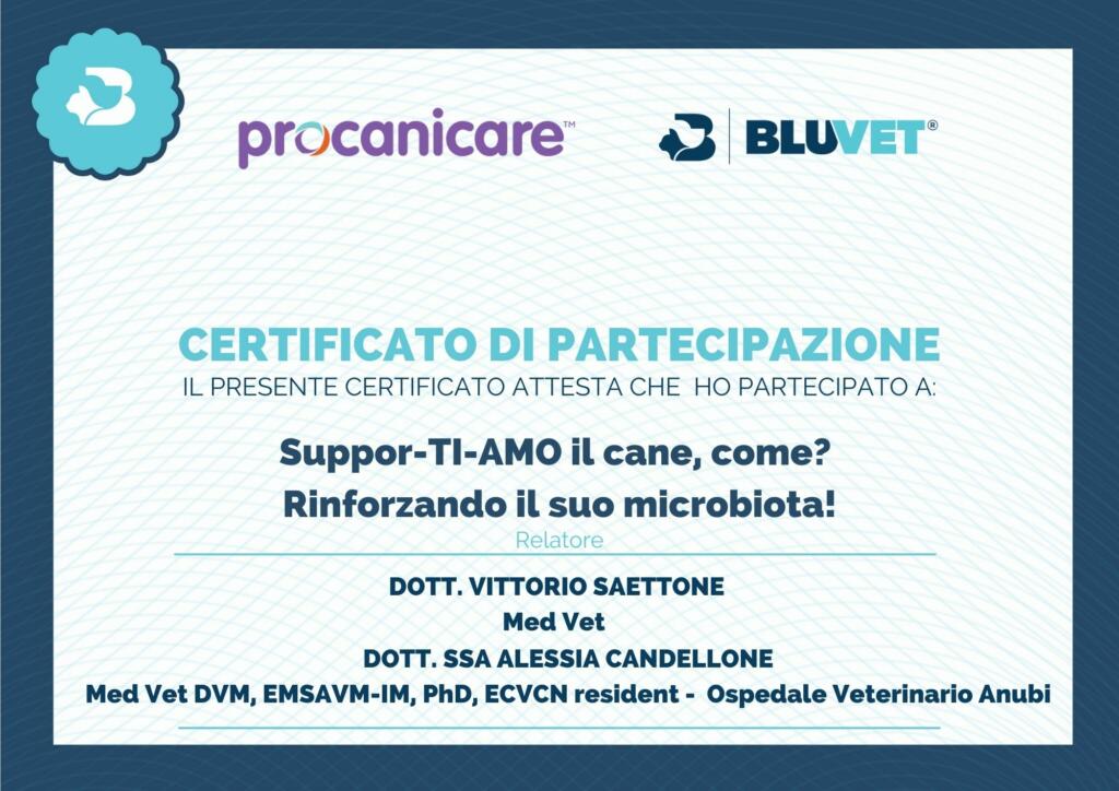 certificato partecipazione